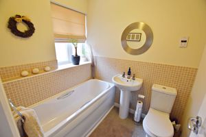 Photo 11- click for photo gallery